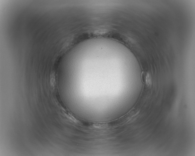 X0000065961299200603241836