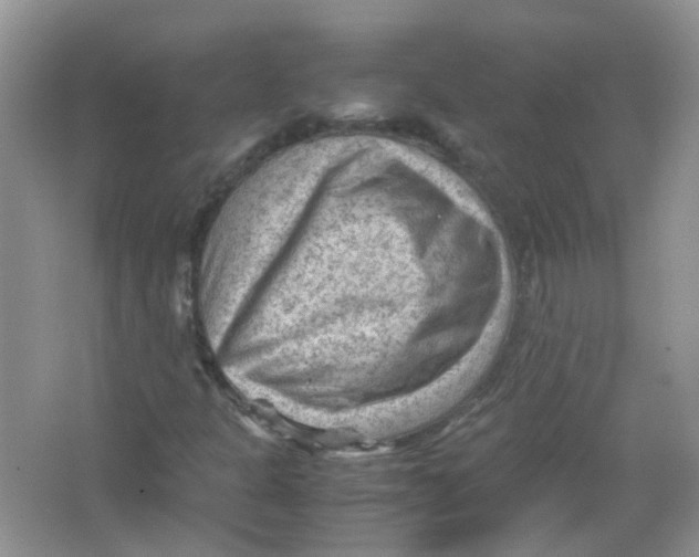 X0000065961301200603241836