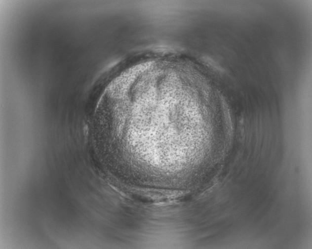 X0000065961302200603241836