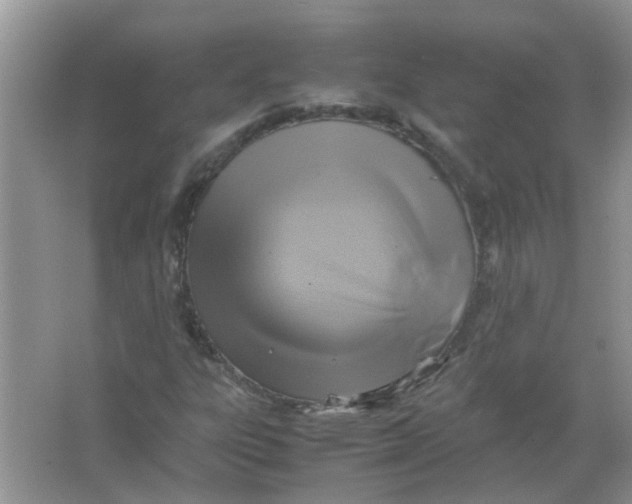 X0000065961303200603241836