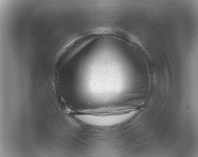 X0000065961304200603241836