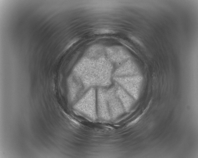 X0000065961305200603241836