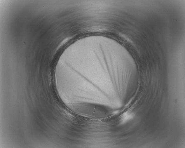 X0000065961306200603241836