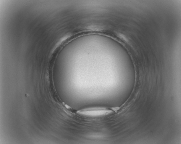 X0000065961307200603241836