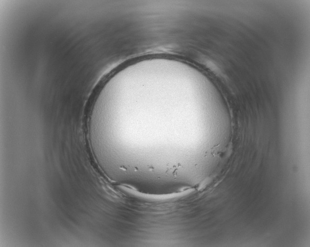 X0000065961308200603241836