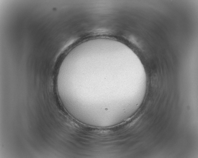 X0000065961309200603241836