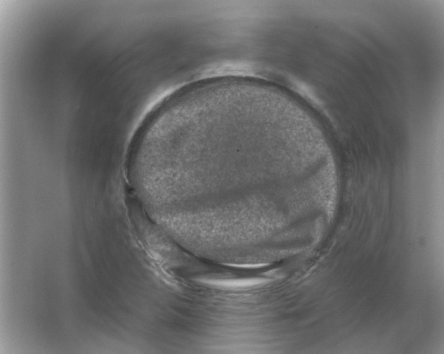 X0000065961312200603241837