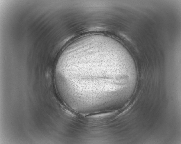 X0000065961313200603241837