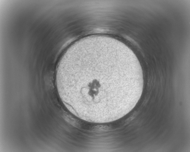 X0000065961314200603241837