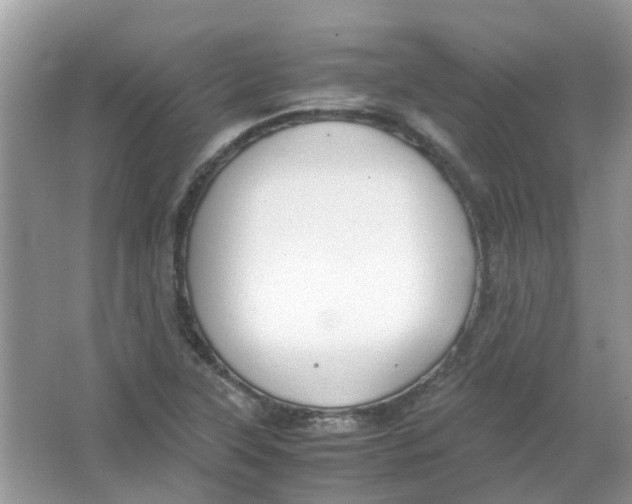 X0000065961315200603241837