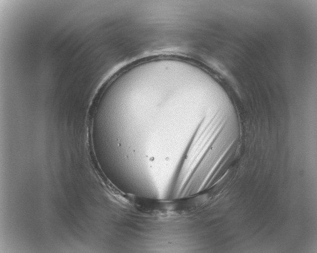 X0000065961316200603241837