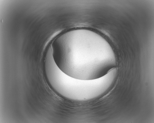 X0000065961317200603241837