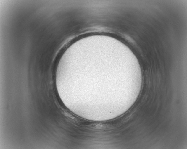 X0000065961318200603241837