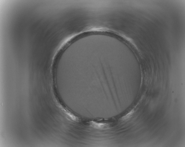 X0000065961319200603241837