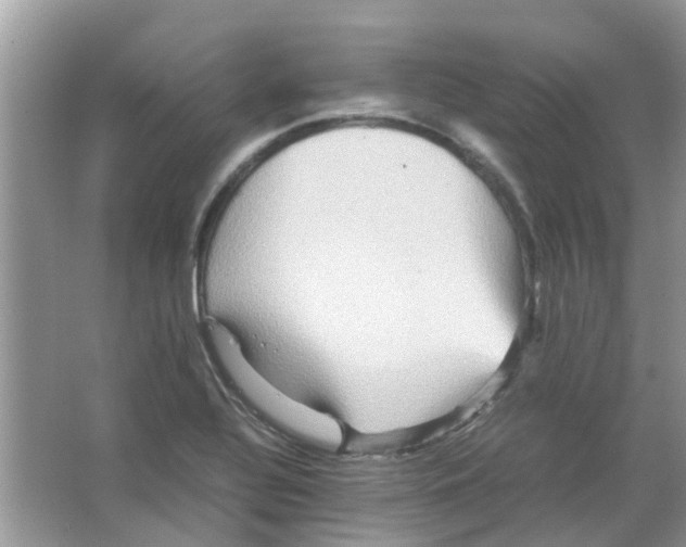 X0000065961320200603241837