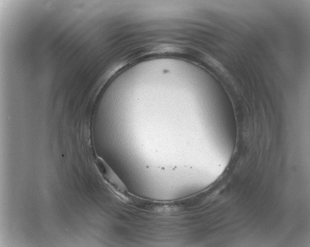 X0000065961321200603241837