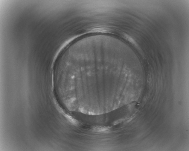 X0000065961323200603241837