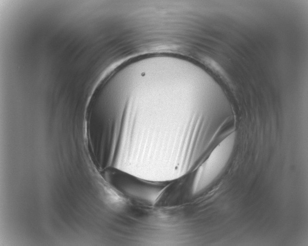 X0000065961324200603241837