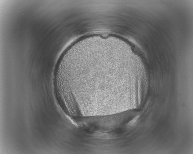 X0000065961325200603241837