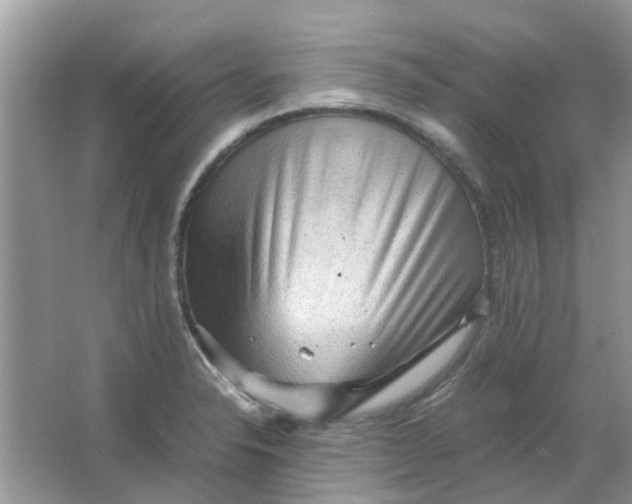 X0000065961326200603241837