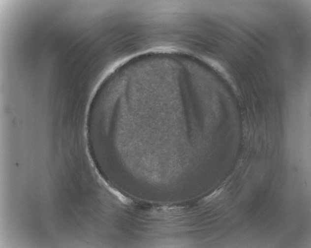 X0000065961327200603241837