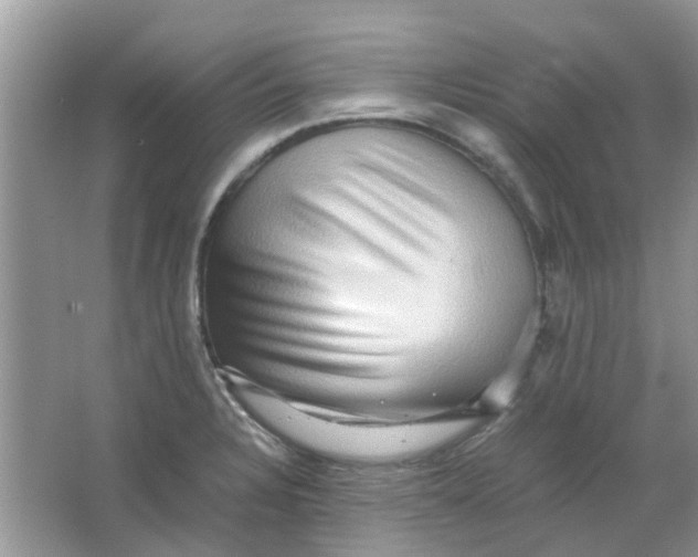 X0000065961328200603241837