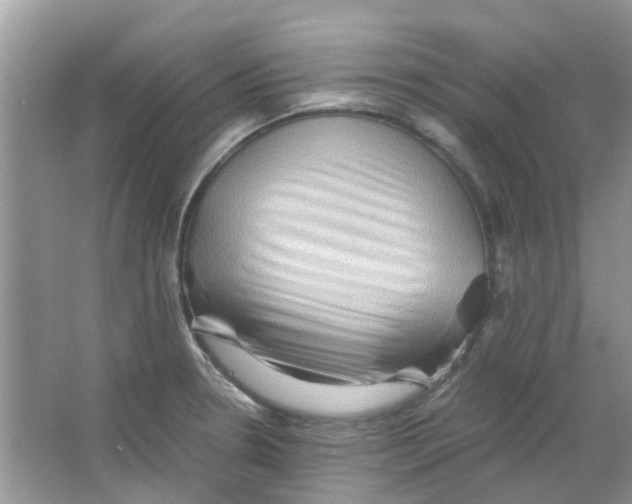 X0000065961330200603241837