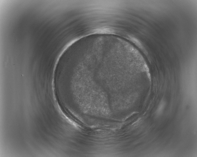 X0000065961331200603241837