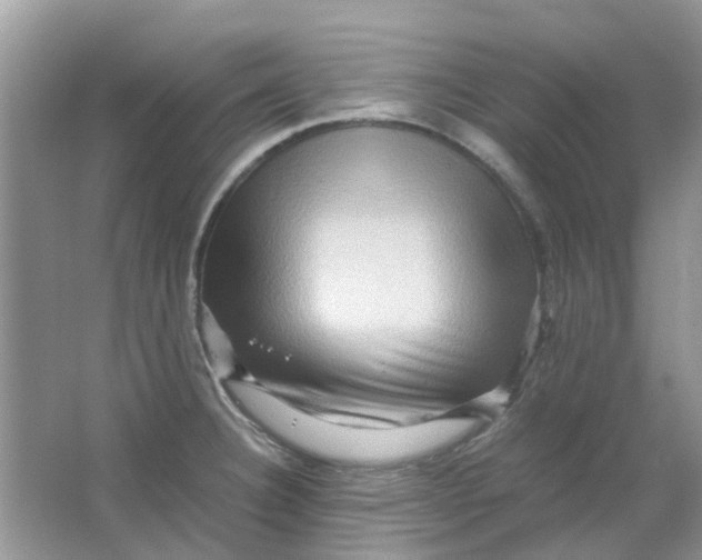 X0000065961332200603241837