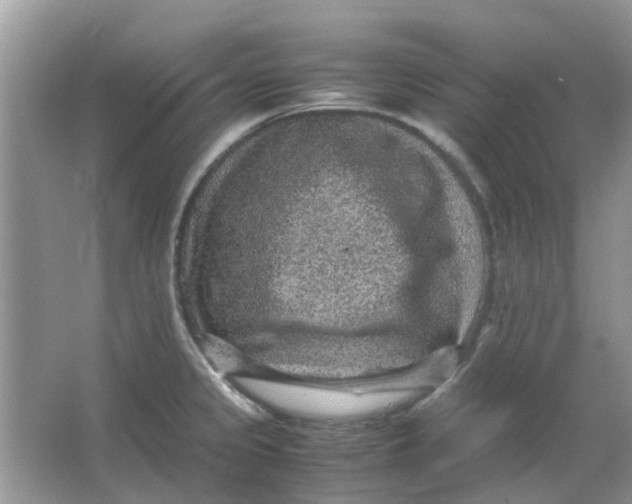 X0000065961333200603241837