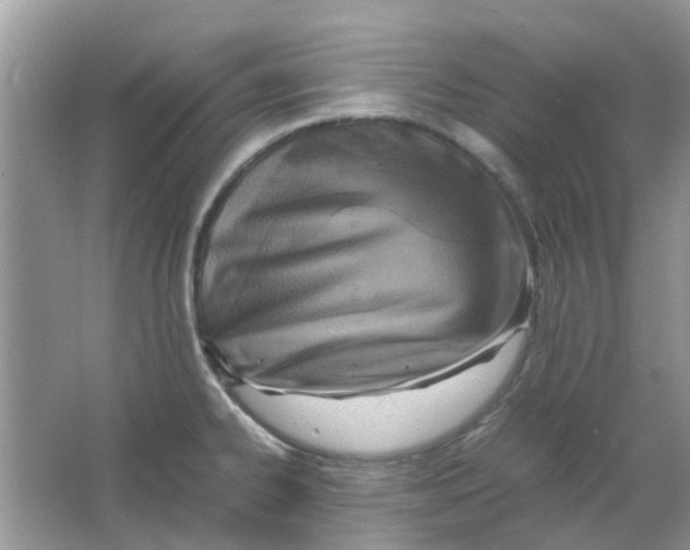 X0000065961334200603241837