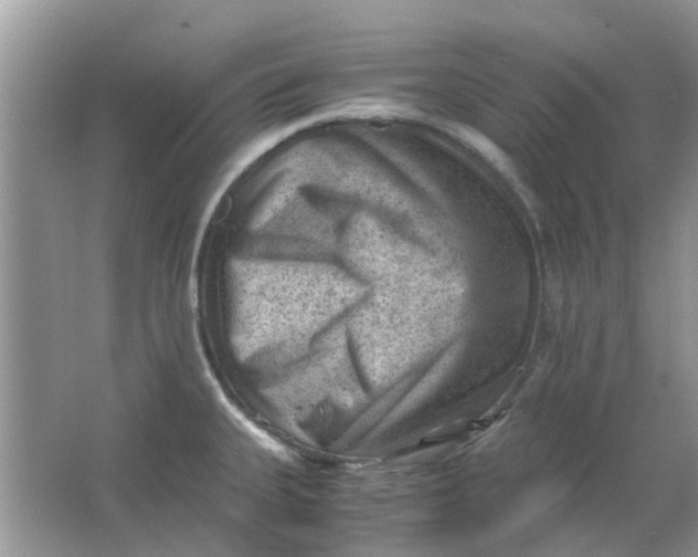 X0000065961335200603241837