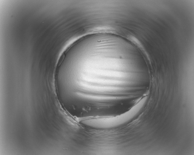 X0000065961336200603241837