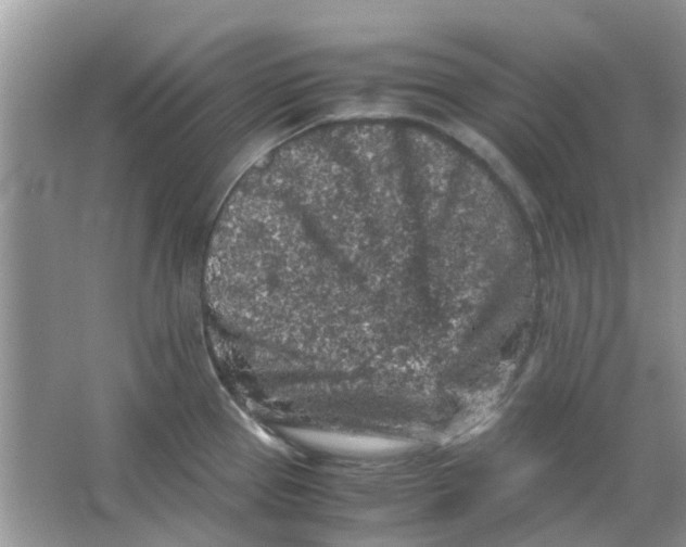 X0000065961337200603241837