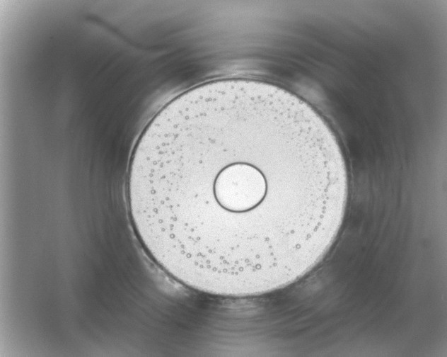 X0000065961338200603241837