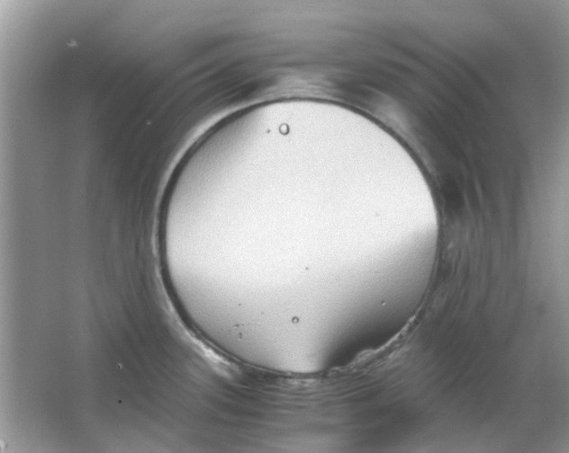 X0000065961339200603241837