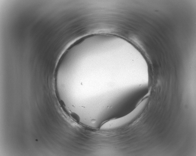 X0000065961340200603241837