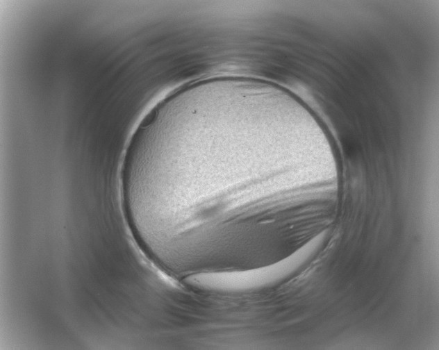 X0000065961341200603241837