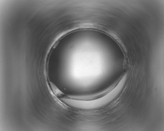 X0000065961342200603241837