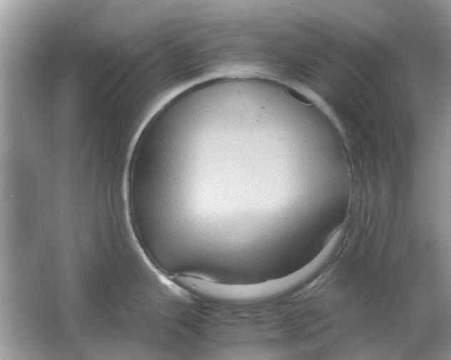 X0000065961343200603241837