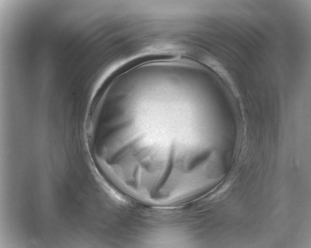 X0000065961344200603241837