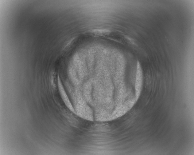 X0000065961346200603241836