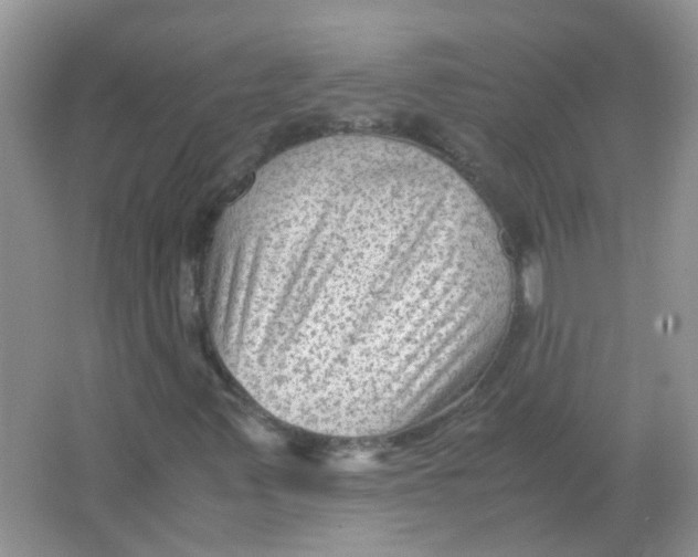 X0000065961347200603241836