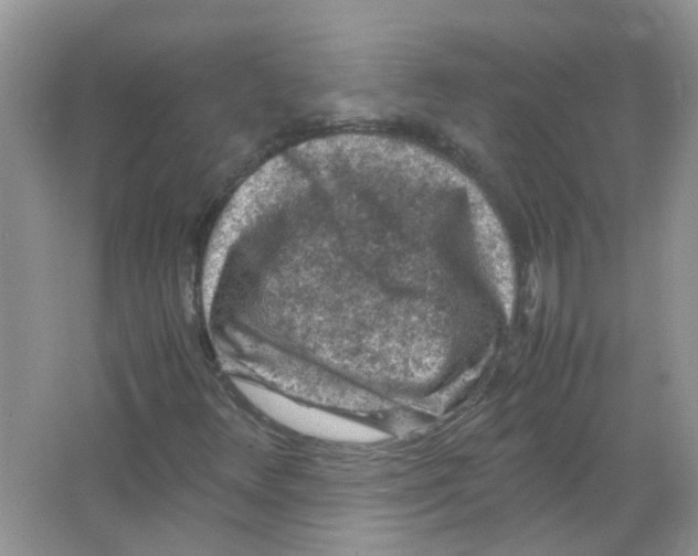 X0000065961348200603241836