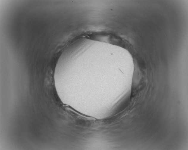 X0000065961349200603241836