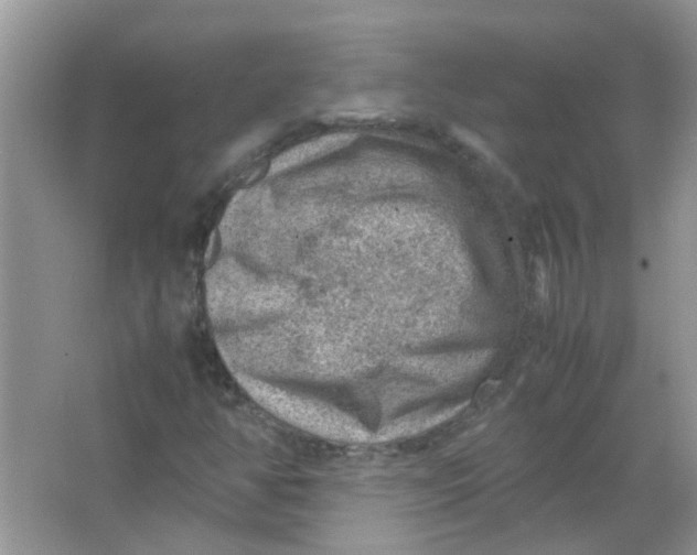 X0000065961350200603241836