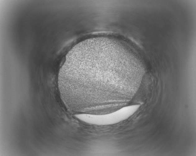 X0000065961351200603241836