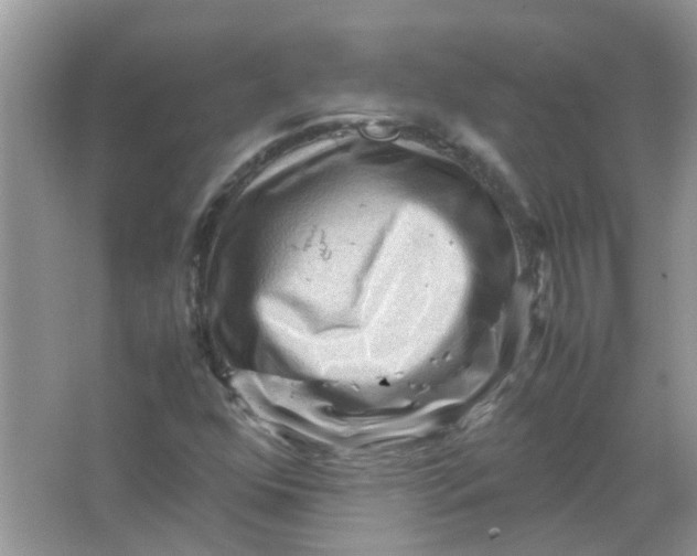 X0000065961352200603241836