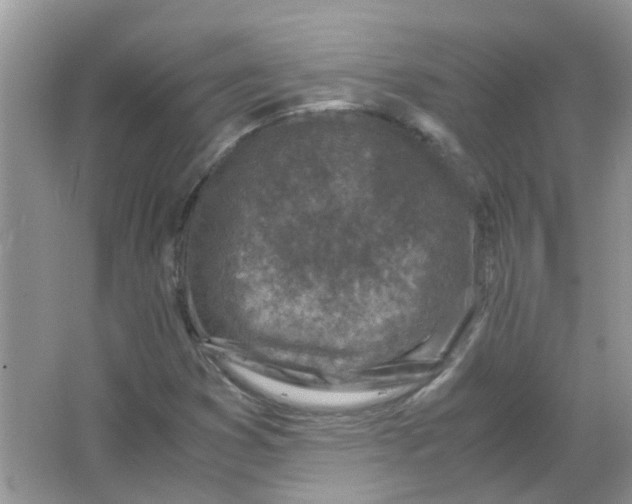 X0000065961353200603241836