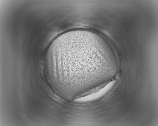 X0000065961355200603241836